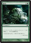 【FOIL】帰化/Naturalize [ISD-056JPC]