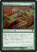 【FOIL】待ち伏せのバイパー/Ambush Viper [ISD-056JPC]