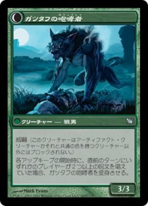 画像2: 【FOIL】ガツタフの羊飼い/Gatstaf Shepherd [ISD-056JPU]