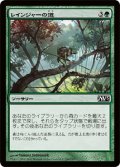 【FOIL】レインジャーの道/Ranger’s Path [M13-JPC]