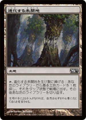 画像1: 【FOIL】進化する未開地/Evolving Wilds [M13-JPC]