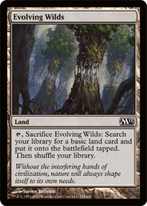 画像1: 【FOIL】進化する未開地/Evolving Wilds [M13-ENC]