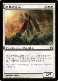 【FOIL】矢来の巨人Palisade Giant [RTR-059JPR]