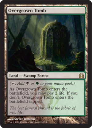 画像1: 【FOIL】草むした墓/Overgrown Tomb [RTR-059ENR]