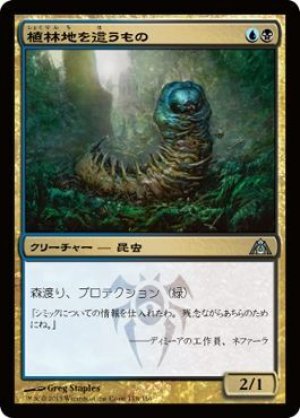 画像1: 【FOIL】植林地を這うもの/Woodlot Crawler [DGM-061JPU]