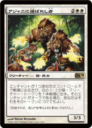 画像1: 【FOIL】アジャニに選ばれし者/Ajani’s Chosen [M14-JPR]