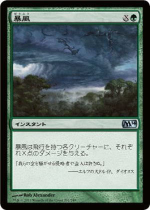 画像1: 【FOIL】暴風/Windstorm [M14-JPU]