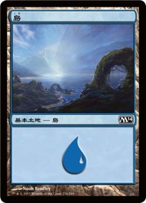 画像1: 【FOIL】島/Island ＃234 [M14-JPB]