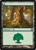 【FOIL】森/Forest ＃249 [THS-062JPB]