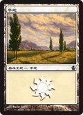 【FOIL】平地/Plains ＃233 [THS-062JPB]