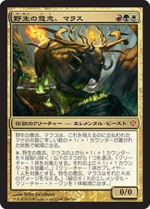 画像1: 野生の意志、マラス/Marath, Will of the Wild [C13-JPM]