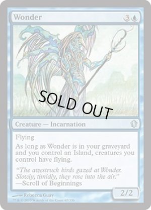 画像1: 不可思議/Wonder [C13-ENU]