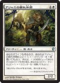 アジャニの群れ仲間/Ajani's Pridemate [C13-JPU]