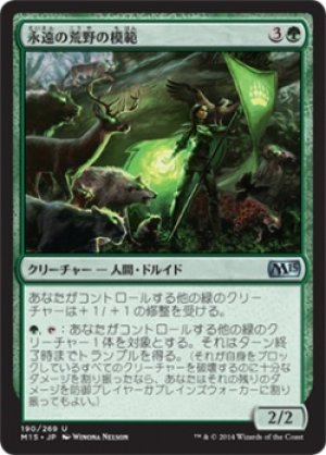 画像1: 【FOIL】永遠の荒野の模範/Paragon of Eternal Wilds [M15-JPU]