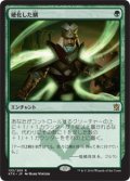 【FOIL】硬化した鱗/Hardened Scales [KTK-065JPR]