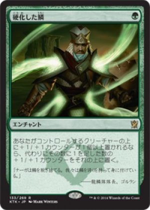 画像1: 硬化した鱗/Hardened Scales [KTK-065JPR]