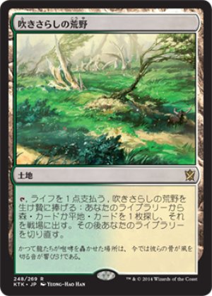 画像1: 【FOIL】吹きさらしの荒野/Windswept Heath [KTK-065JPR]