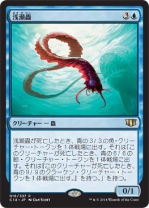 画像1: 浅瀬蟲/Reef Worm [C14-JPR]