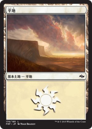 画像1: 【FOIL】平地/Plains ＃176 [FRF-066JPB]