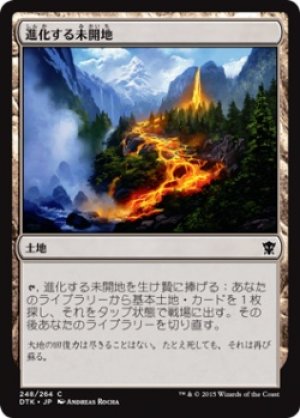 画像1: 【FOIL】進化する未開地/Evolving Wilds [DTK-067JPC]