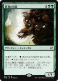 狼茨の精霊/Wolfbriar Elemental [MM2-A13JPR]