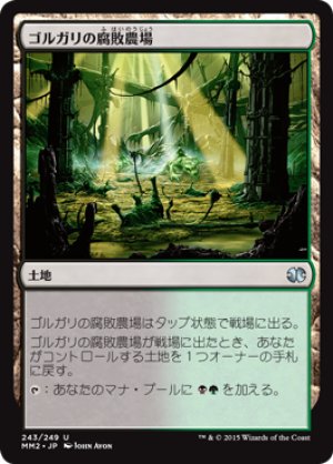 画像1: ゴルガリの腐敗農場/Golgari Rot Farm [MM2-A13JPU]