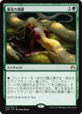 【FOIL】進化の飛躍/Evolutionary Leap [ORI-JPR]