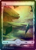 【FOIL】平地/Plains ＃252 [BFZ-068JPB]