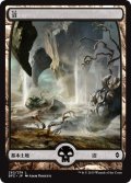 沼/Swamp ＃262 [BFZ-068JPB]