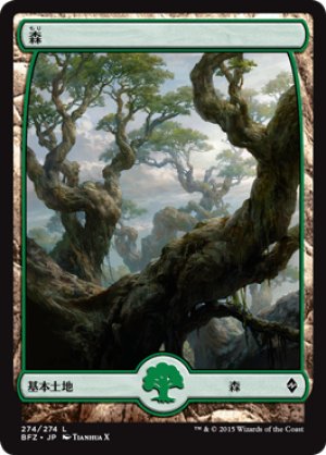 画像1: 森/Forest ＃274 [BFZ-068JPB]