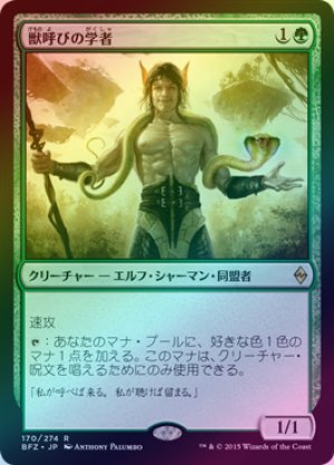 画像1: 【FOIL】獣呼びの学者/Beastcaller Savant [BFZ-068JPR]