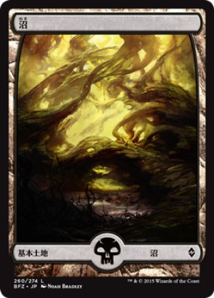 画像1: 沼/Swamp ＃260 [BFZ-068JPB]