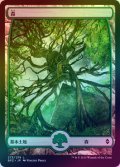 【FOIL】森/Forest ＃273 [BFZ-068JPB]