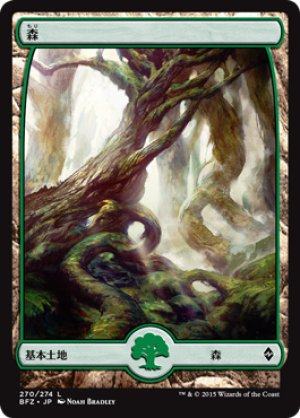 画像1: 森/Forest ＃270 [BFZ-068JPB]