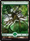 森/Forest ＃273 [BFZ-068JPB]