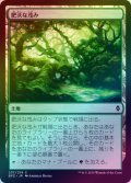 【FOIL】肥沃な茂み/Fertile Thicket [BFZ-068JPC]