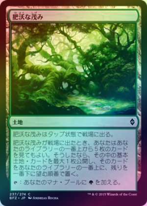 画像1: 【FOIL】肥沃な茂み/Fertile Thicket [BFZ-068JPC]