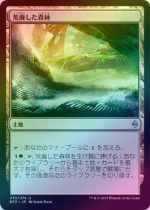 画像1: 【FOIL】荒廃した森林/Blighted Woodland [BFZ-068JPU]