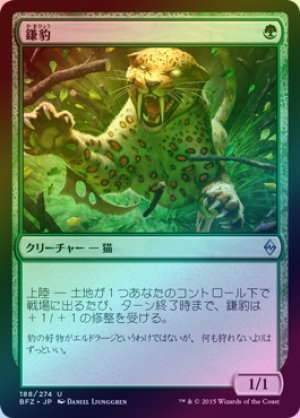 画像1: 【FOIL】鎌豹/Scythe Leopard [BFZ-068JPU]