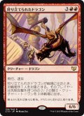狩り立てられたドラゴン/Hunted Dragon [C15-JPR]