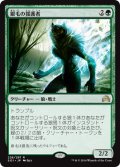 【FOIL】銀毛の援護者/Silverfur Partisan [SOI-070JPR]