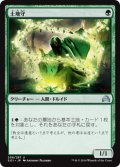 【FOIL】土地守/Groundskeeper [SOI-070JPU]