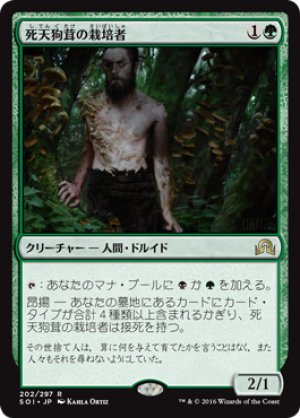 画像1: 【FOIL】死天狗茸の栽培者/Deathcap Cultivator [SOI-070JPR]