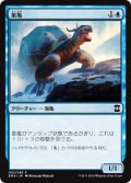 【FOIL】象亀/Giant Tortoise [EMA-A14JPC]