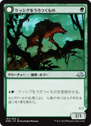 画像1: 【FOIL】ケッシグをうろつくもの/Kessig Prowler [EMN-071JPU]