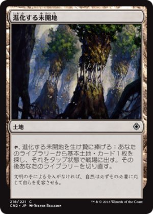 画像1: 【FOIL】進化する未開地/Evolving Wilds [CN2-A10JPC]