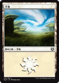 【FOIL】平地/Plains ＃251 [KLD-072JPB]