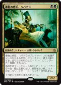 毒物の侍臣、ハパチラ/Hapatra, Vizier of Poisons [AKH-074JPR]