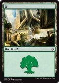 【FOIL】森/Forest ＃268 [AKH-074JPB]