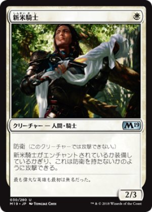 画像1: 【FOIL】新米騎士/Novice Knight [M19-JPU]